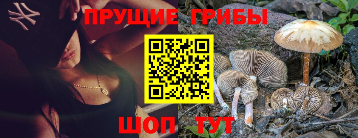 Псилоцибиновые грибы GOLDEN TEACHER Кимовск